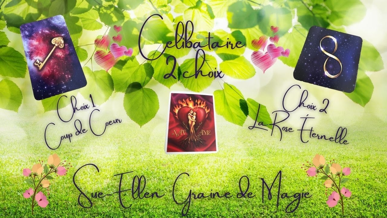 TIRAGE SENTIMENTAL 😊🙏  QUE NOUS DIT AMANDINE 😋  - TIRAGE CÉLIBATAIRE EN DEUX CHOIX 💕 INTEMPOREL