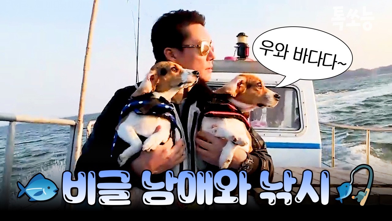 아쿠아맨 아빠 이태곤과 바다 낚시 간 비글 남매🎣 | #개밥남