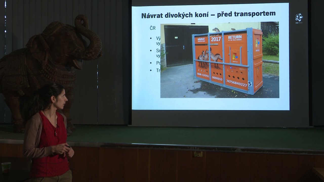 Barbora Dobiášová: Návraty koní Převalského 2011–2021