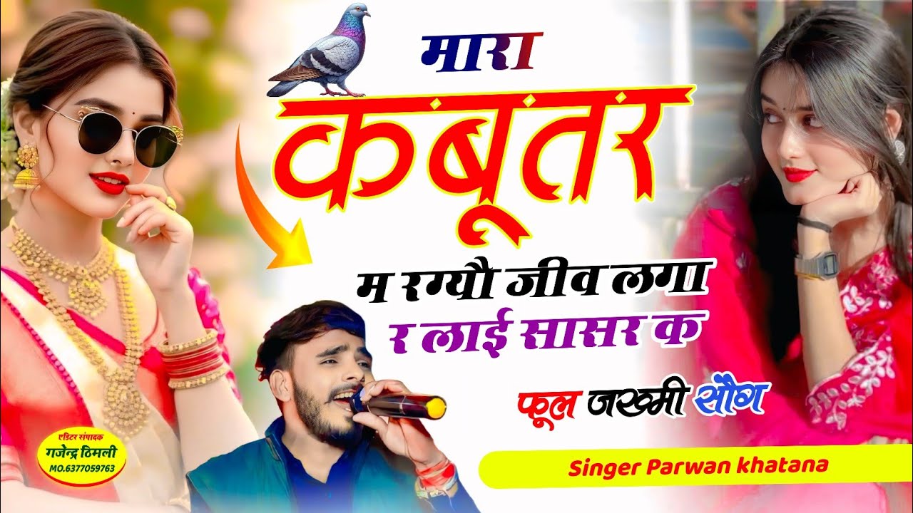 Song (1256) फुल जख्मी सौग !! मारा कबूतर म रग्यौ जीव लगा र लाई सासर क | Parwan khatana Songviral Song