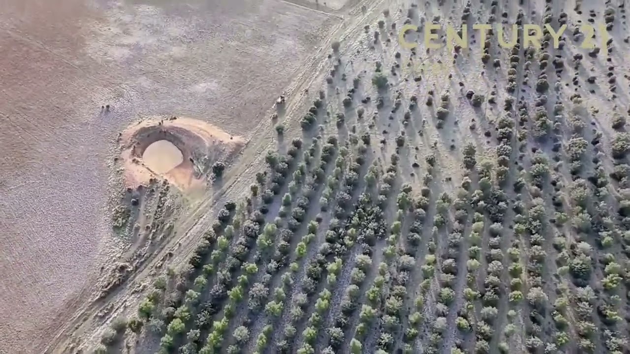 🌿 Oportunidad única de inversión: Finca rústica de 142 hectáreas en Badajoz (ROCA DE LA SIERRA) 🌾🏡  
