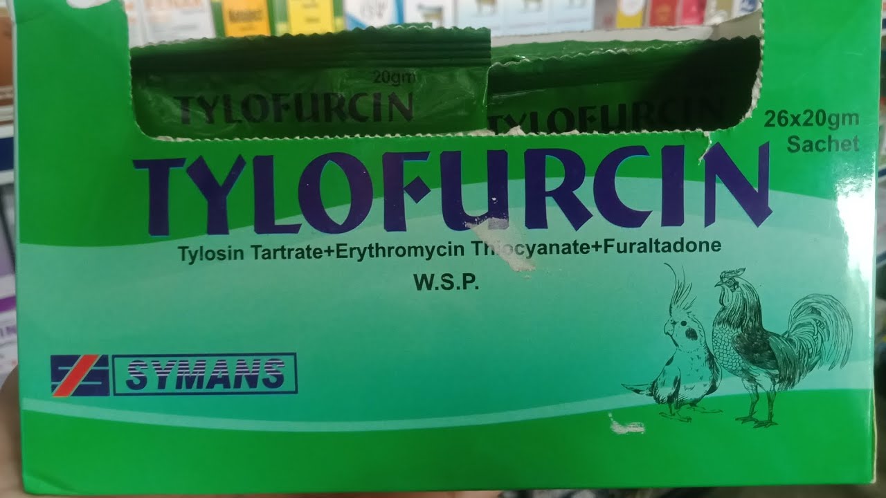 Use of Tylofurcin in Chickens | Treatment of Cold, Flu, Sneezing & Fever in Birds