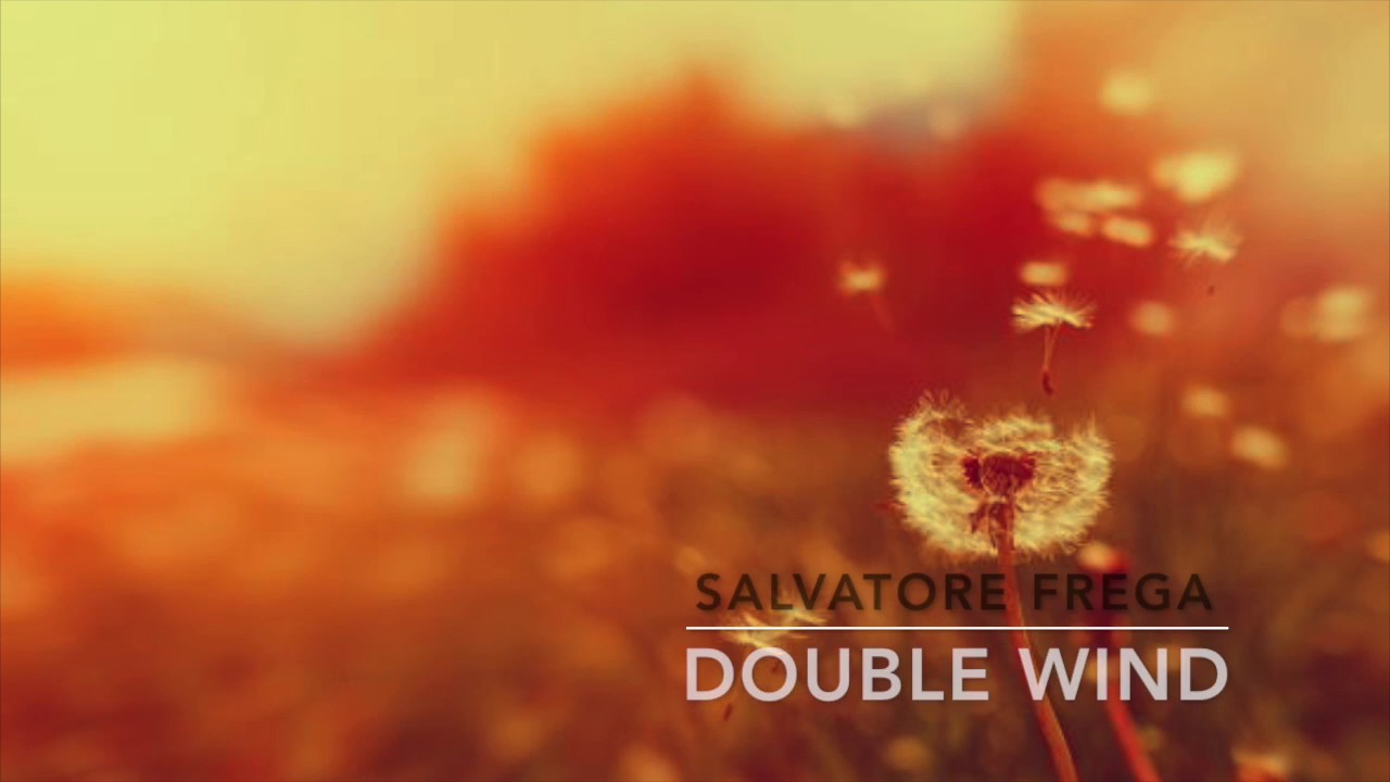 Double Wind - Salvatore Frega