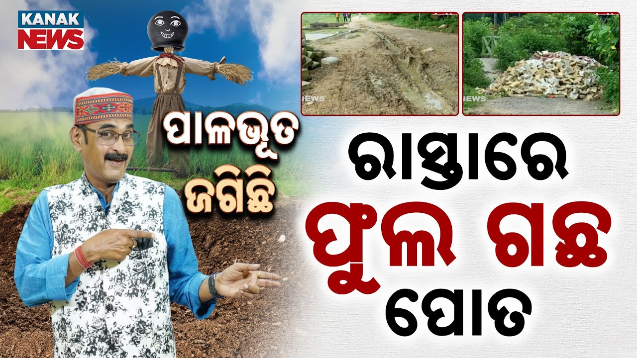 Pala Bhuta Jagichi | ରାସ୍ତାରେ ପୋତିଦେବେ ଗୋଲାପ ଫୁଲ | KunaTripathy | Kanak news