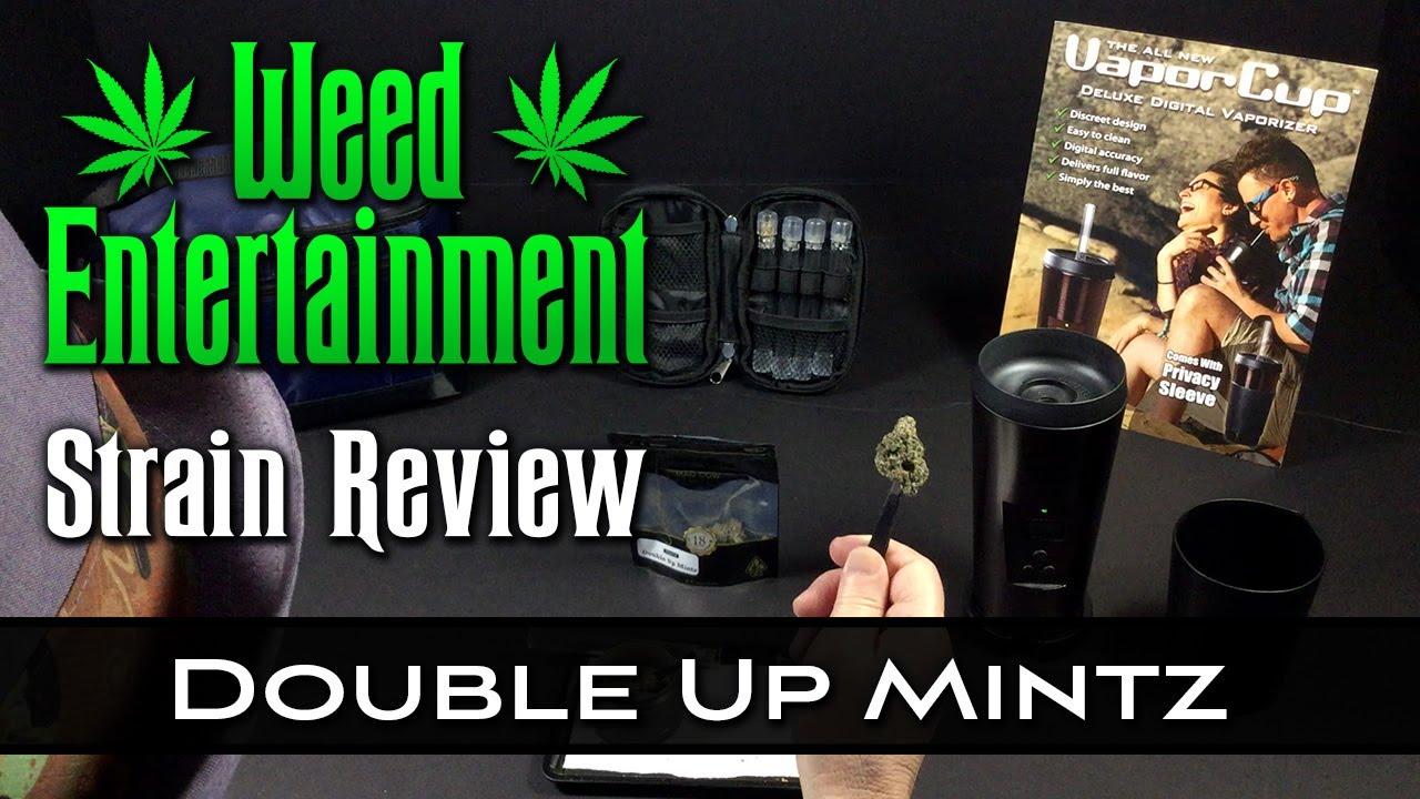 Double Up Mintz - Hybrid - by Mad Cow Genetics - Strain Review - from The Artist Tree, Hollywood Ca