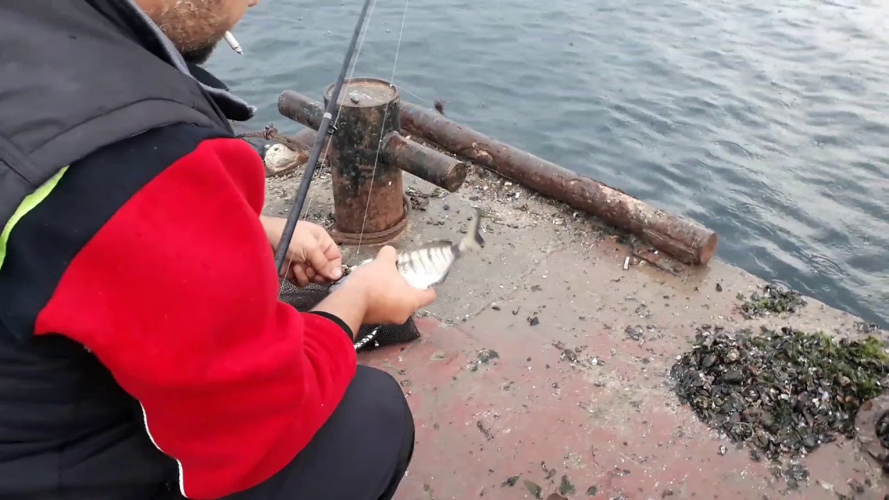 Ulaşlı Yine B&uuml;y&uuml;ledi | Karag&ouml;z Avı | Harikul&acirc;de !!!