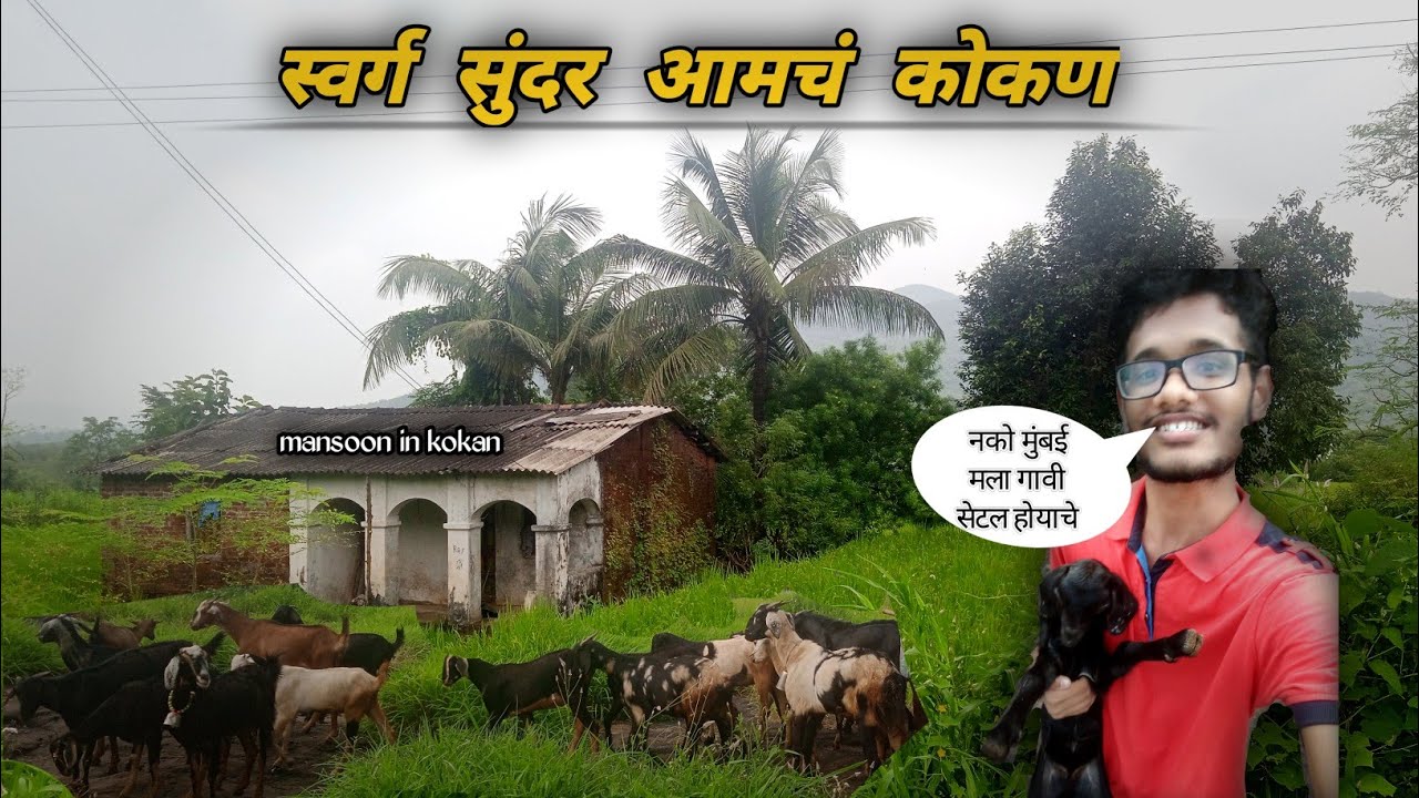 स्वर्ग सुंदर आमचं कोकण || घोसाळे रोहा रायगड कोकण || नको मुंबई 🤧 गावी रहायचंय #कोकण #konkantravel