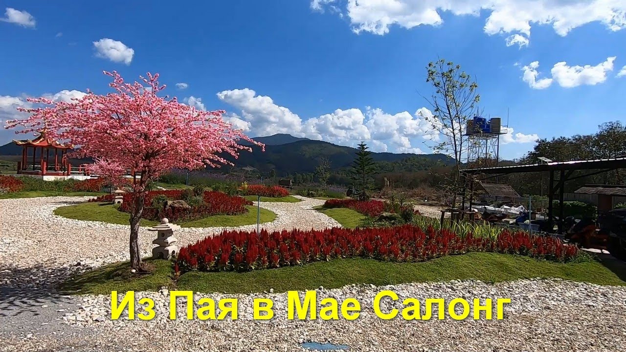 Из Пая в Мае Салонг. Dantewada Land of Waterfalls, Hinoki land, Thanathorn Orchard