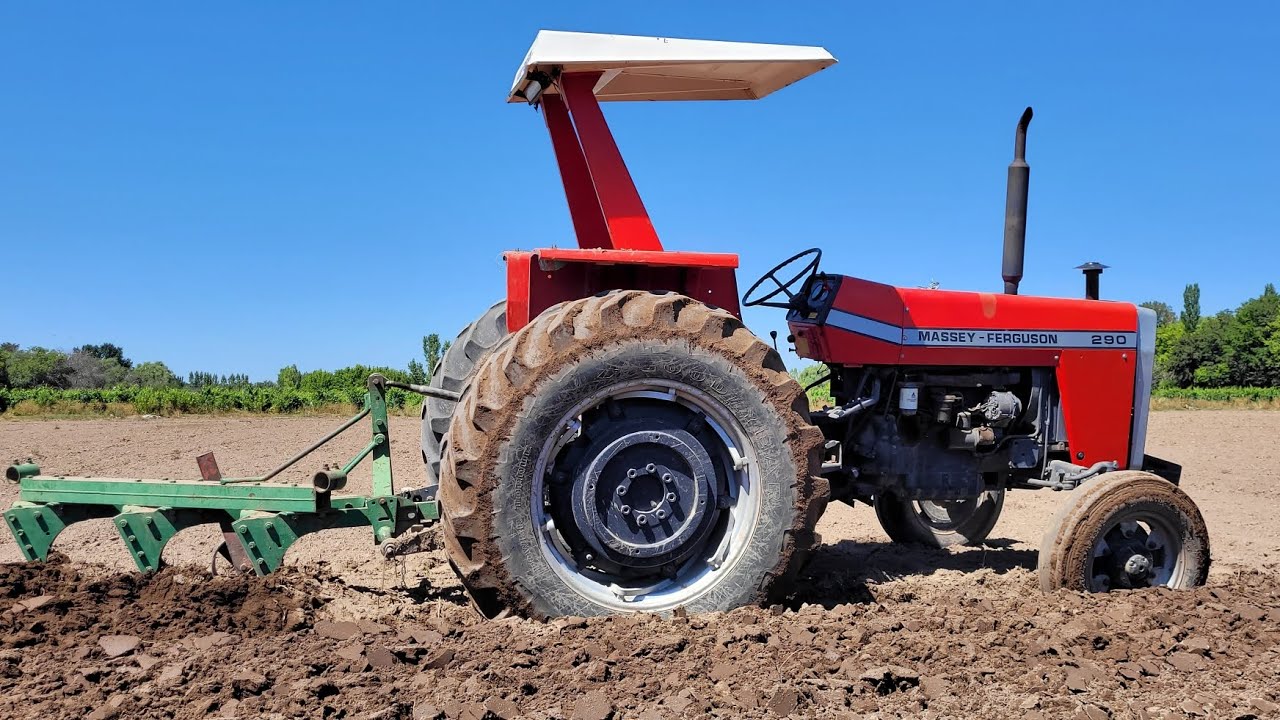 Massey 290 ARANDO - AGRO Mendoza