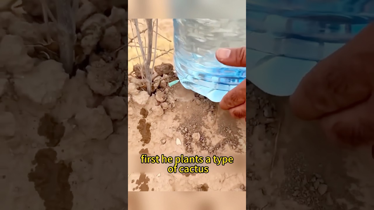 Bottle Irrigation Hack😱