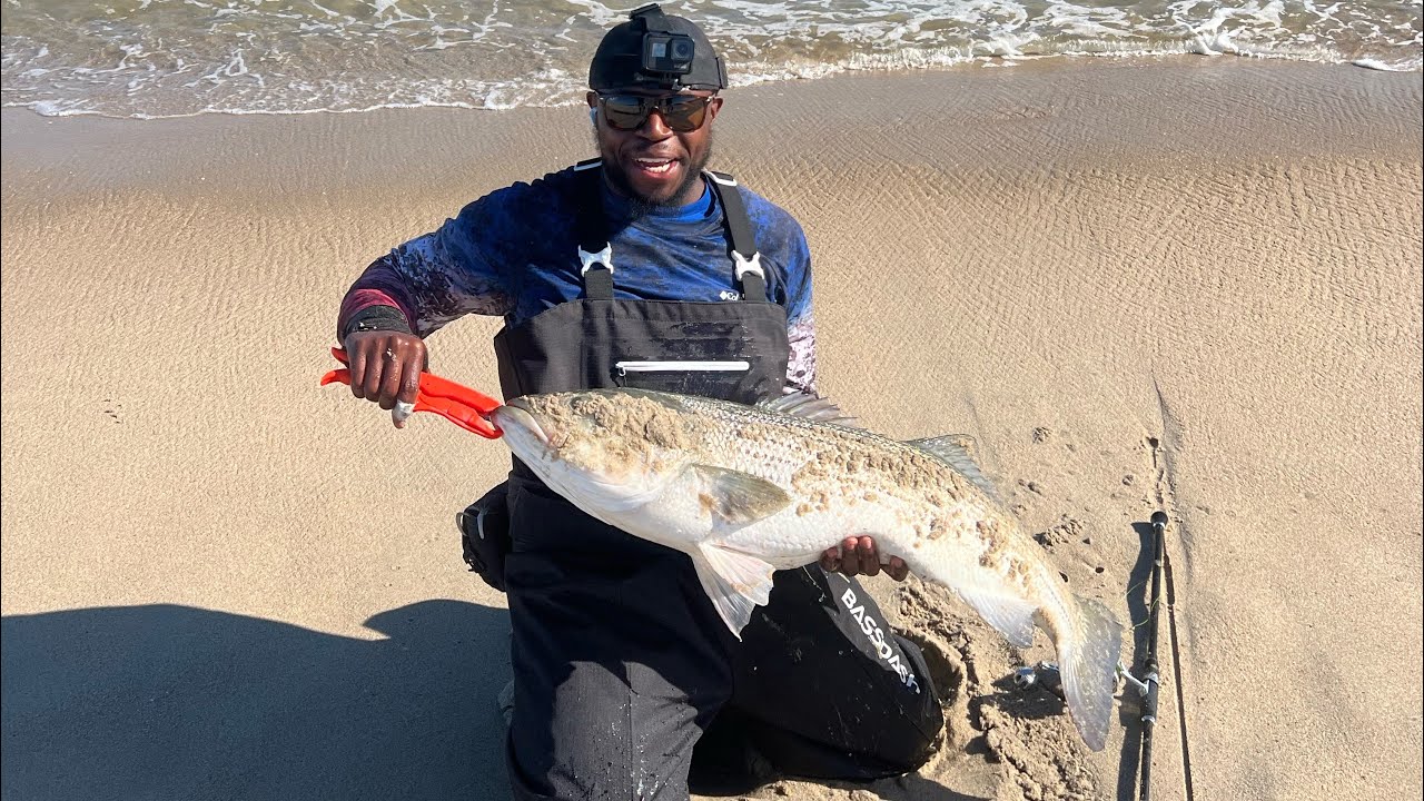 Nonstop Fall Striped Bass Surf Bite NJ