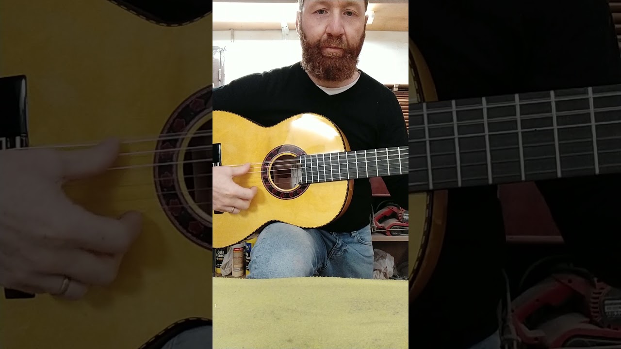 Luthier Antonio pisa