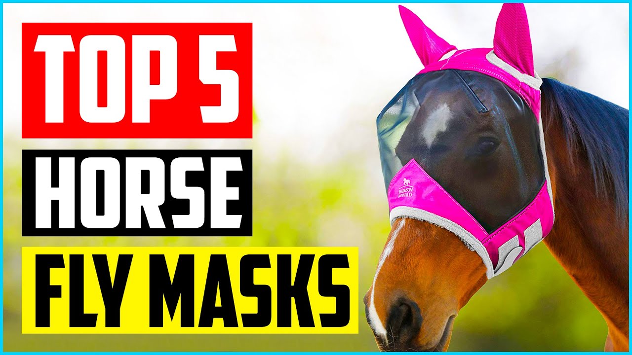 Top 5 Best Horse Fly Masks in 2022 Reviews