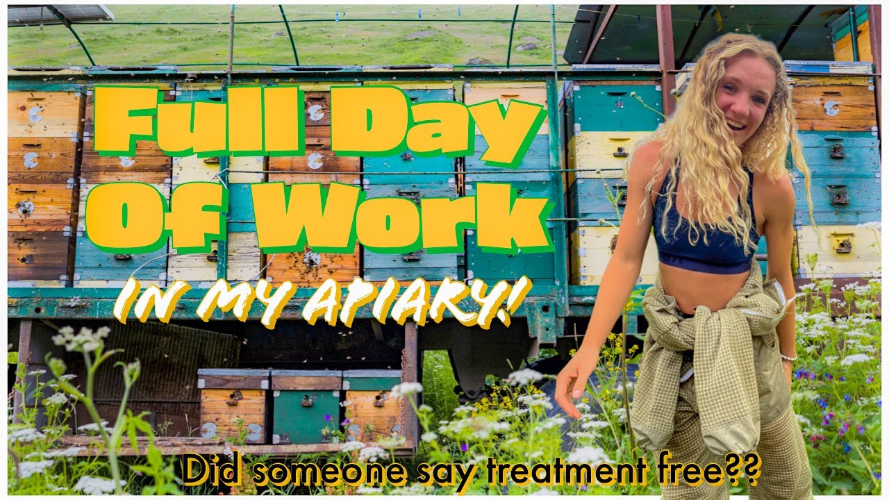 I'm EXPANDING My Apiary! Treatment free thoughts / Beekeeping 101 #beekeeping #beekeeper