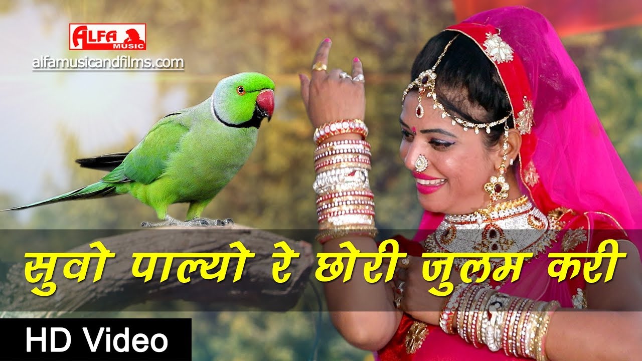 सुवो पाल्यो रे छोरी जुलम करी | 2019 | Rajasthani Fagan Dhamal | Rajasthani Video Song |