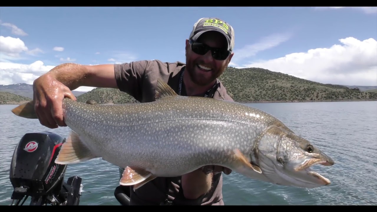 Lake Trout Fishing: Jigging for Giants