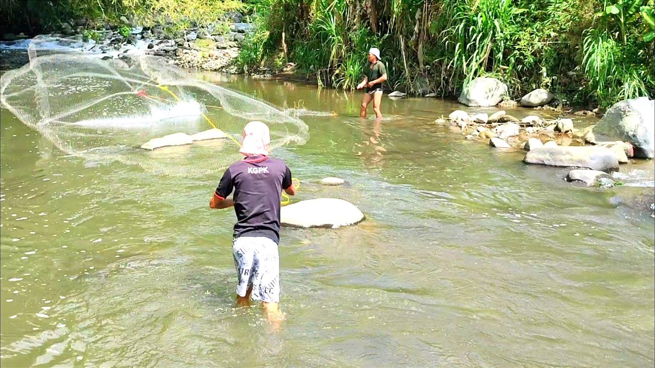 Mantap ‼️ Jala Ikan di Sungai Arus Deras Setelah Banjir