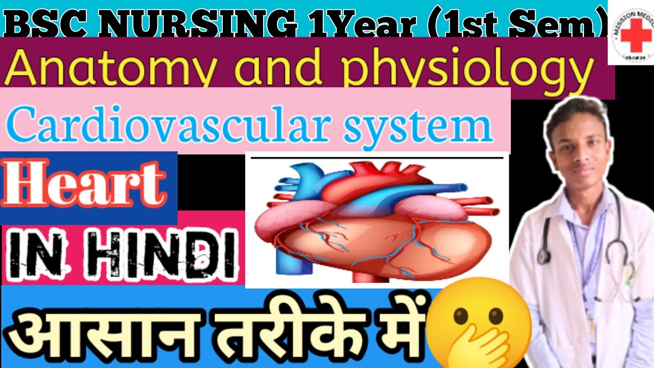BSC Nursing 1st semester cardiovascular system Heart in Hindi आसान तरीके में 