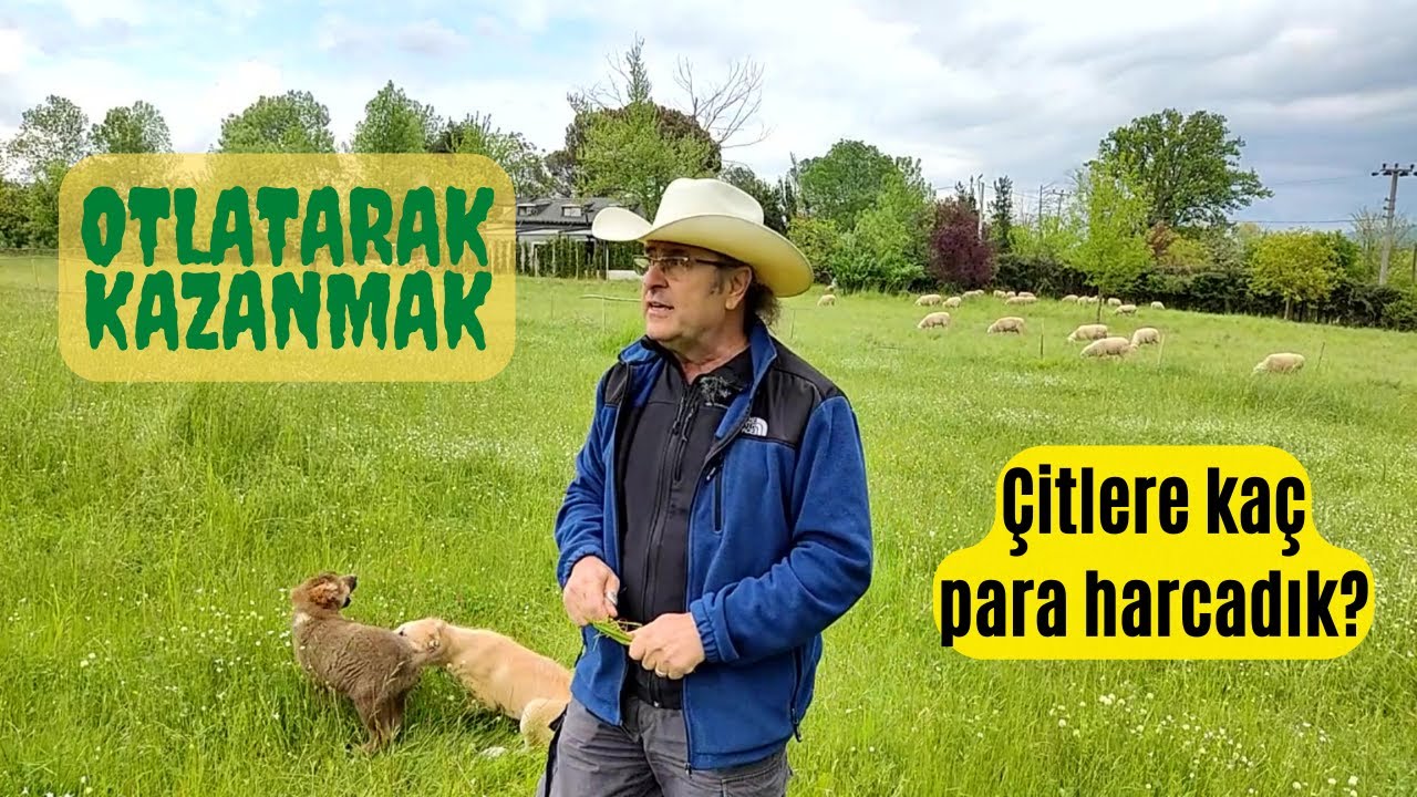 KOYUNCULUK OTLATARAK NASIL KAZANIR | ÇİTLER İÇİN KAÇ PARA HARCADIM | VLOK 2