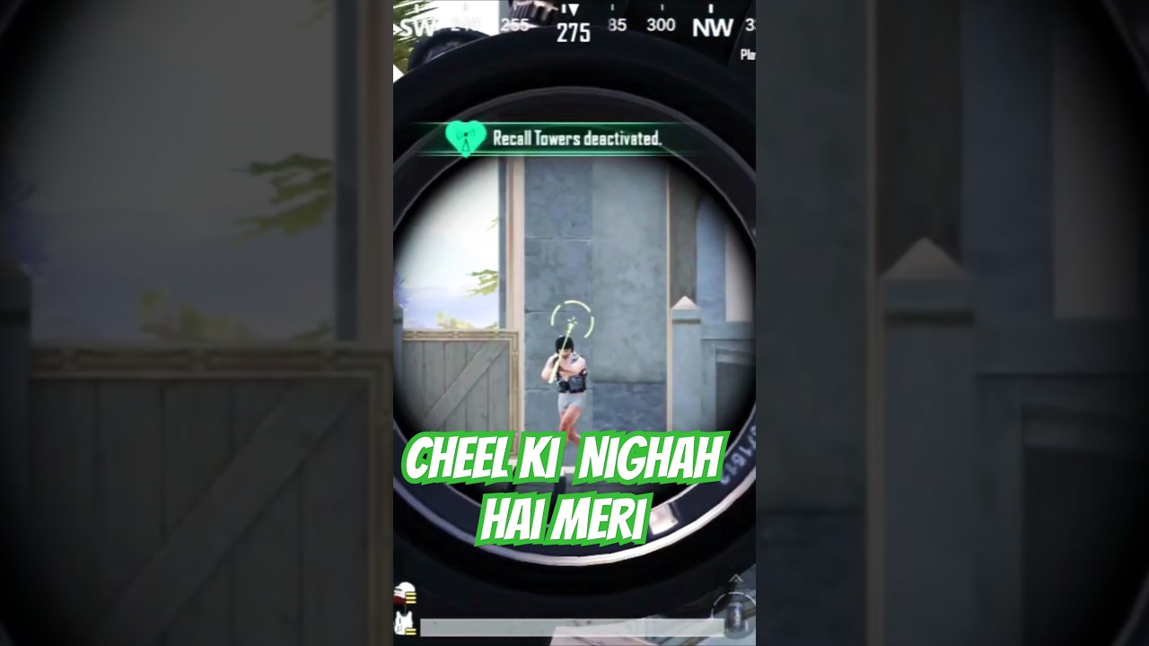 Cheel Ki Nigah Hai Meri PUBG Comedy! | Must Watch Fun Moment #Gamesutra007