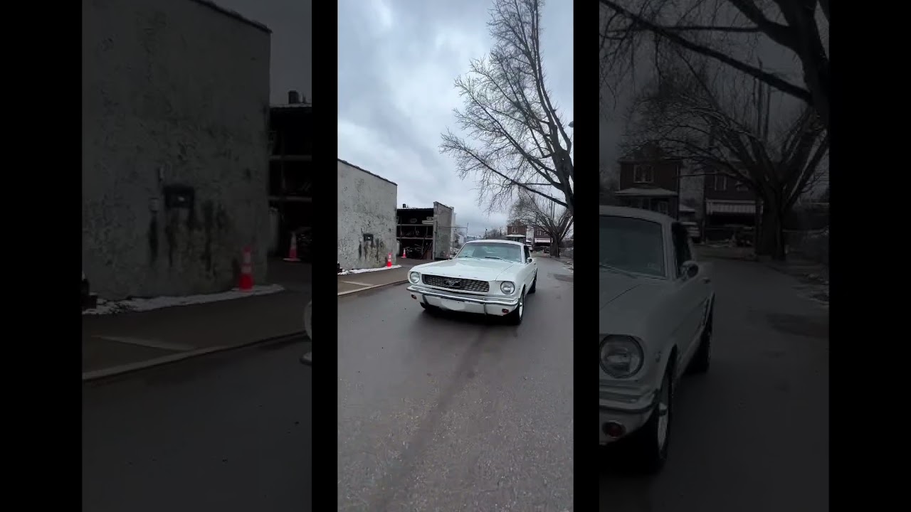 1966 Mustang Fastback Wimbolton white. Iron city garage Classic muscle cars. #shorts  ￼