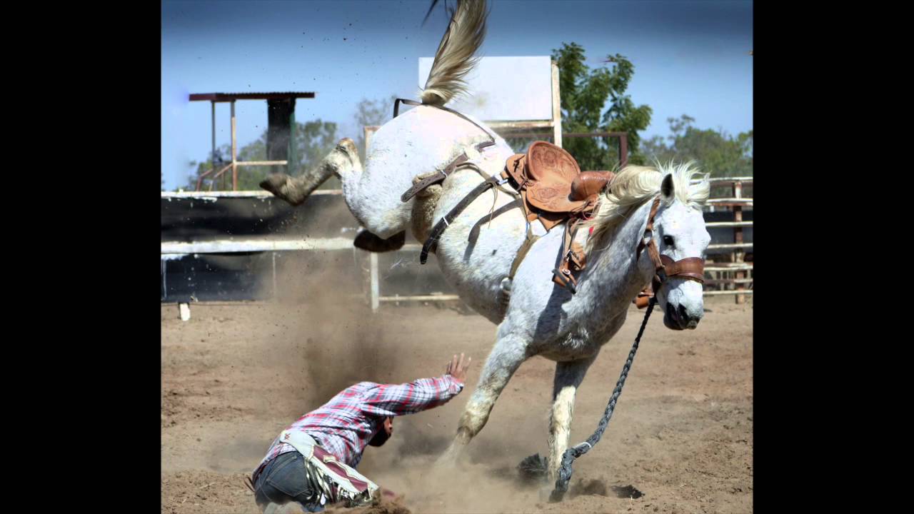 R&uuml;ckenprotektor Test: R&uuml;ckenprotektor zum Reiten