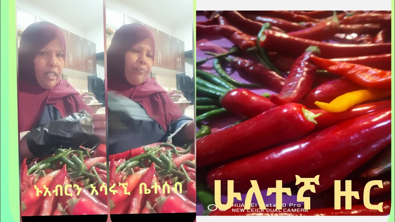 ኑአብርን እንስራ  ቤተሰብ  ሁለተኚ  ዙር