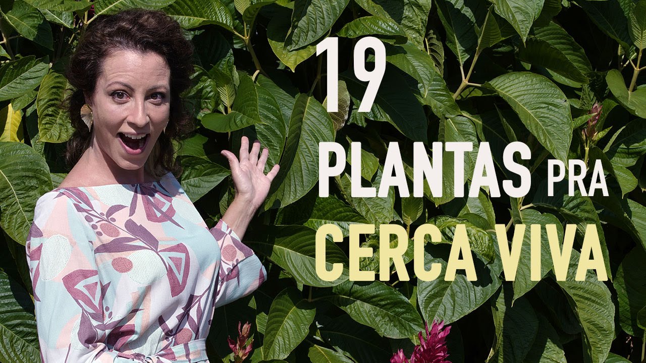19 PLANTAS pra CERCA VIVA com MUITAS FLORES