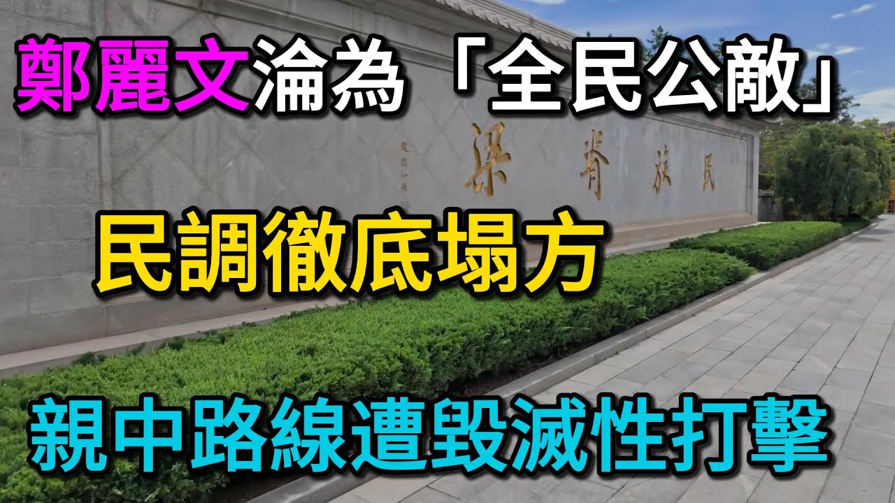 比國民黨還慘！鄭麗文淪為「全民公敵」，民調徹底塌方。泛藍小草罕見聯手唾棄，親中路線遭毀滅性打擊！