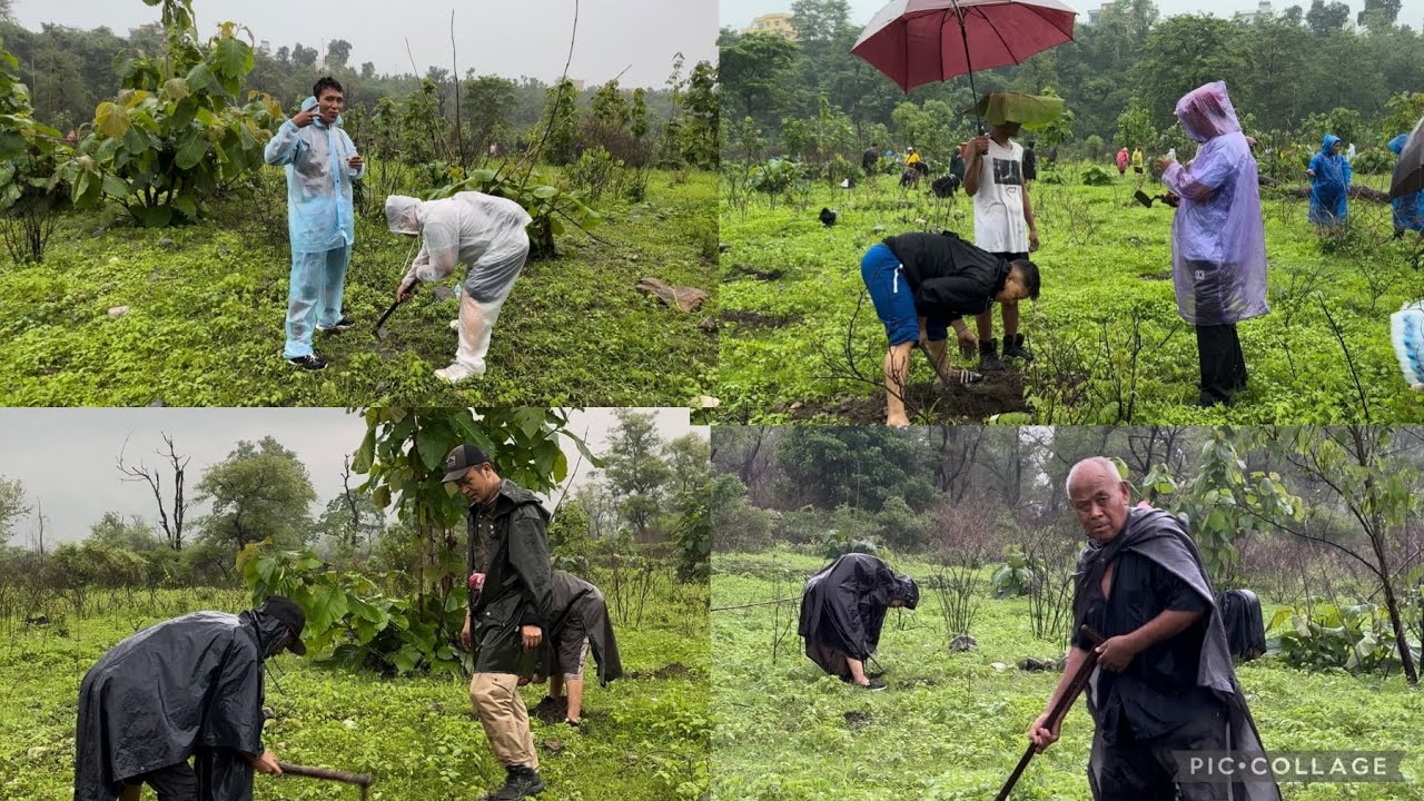 Plantation on 89th birthday of His Holiness 14th Dalai Lama | Day-2 Dekyiling Shichak | Chiphelfilms