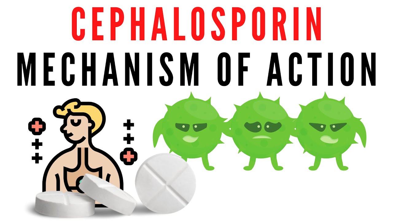 Cephalosporin explained | classification, mechanism of action