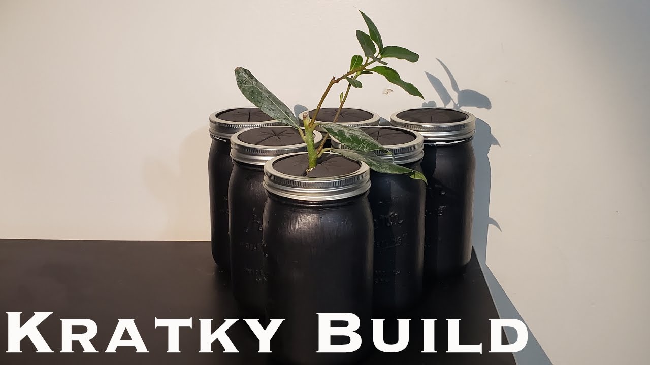 Best Kratky Hydroponic Build $2