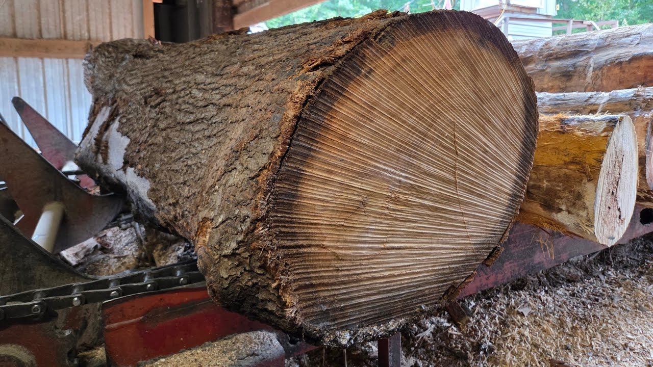 Sawing 2 big logs and 2 normal logs #199
