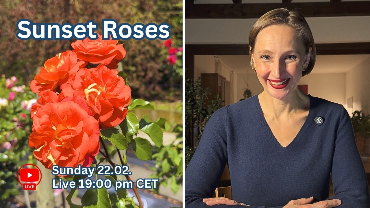 Let´s Talk Roses! Orange & Apricot Roses for Pots, Beds & Climbers 🌹