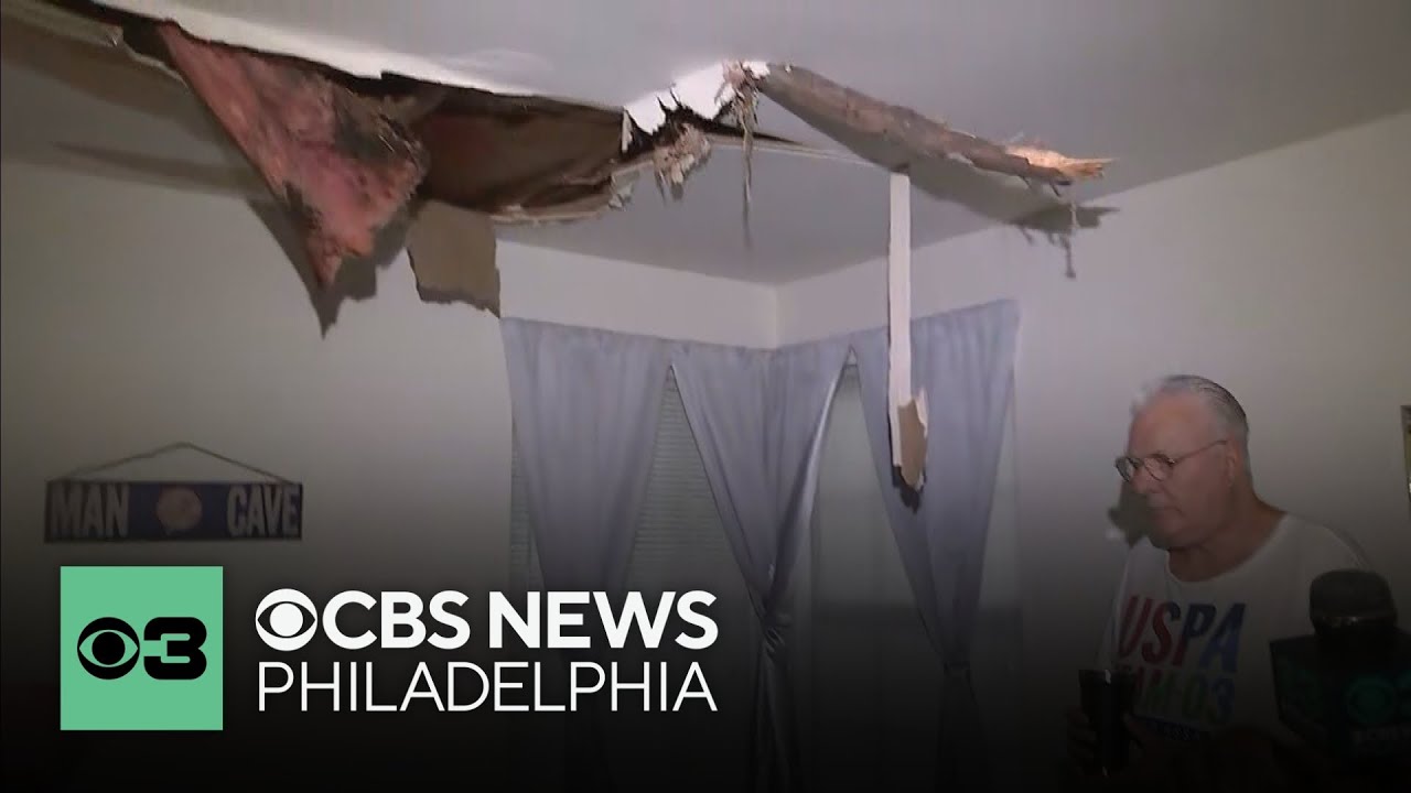 Mantua, New Jersey, resident unharmed after tree falls into home