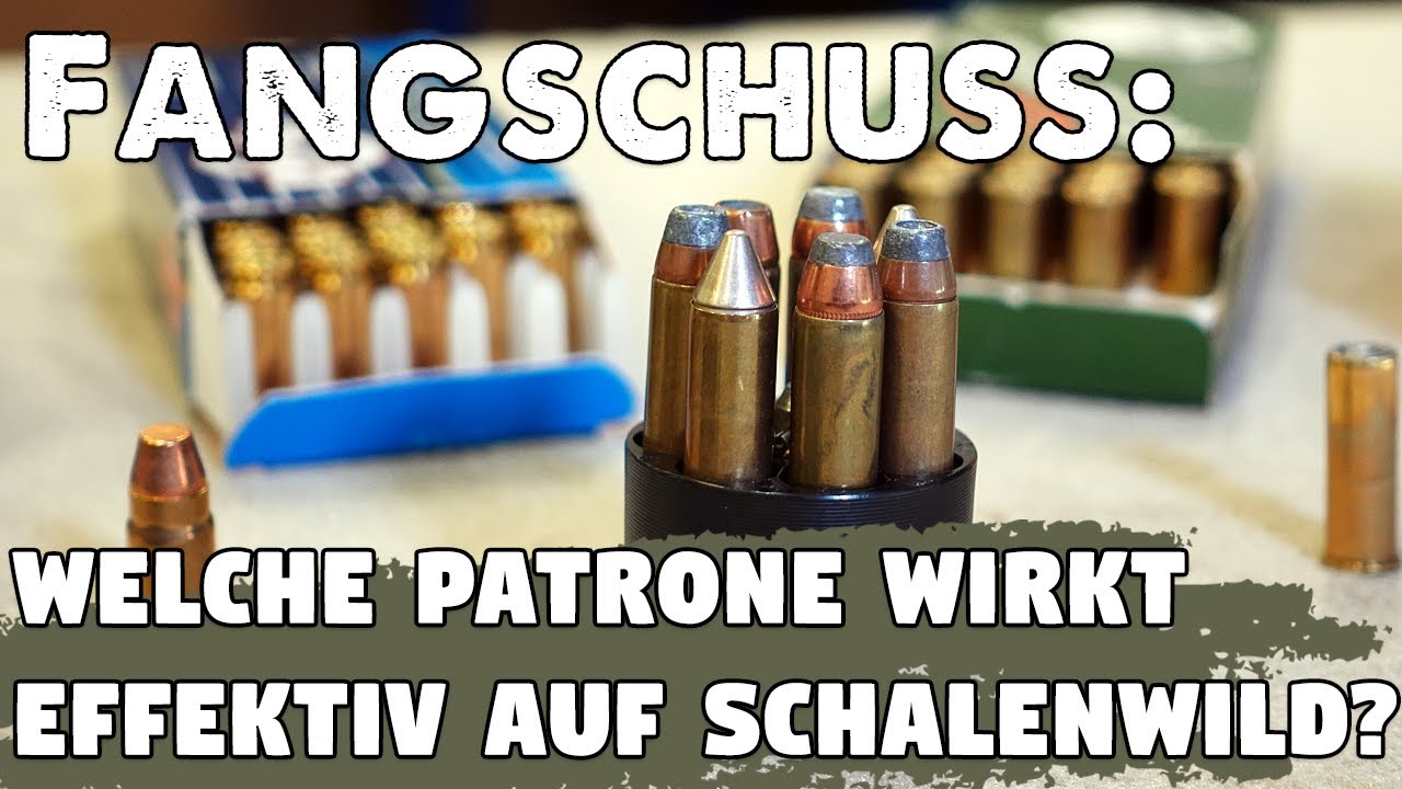Kurzwaffen für Jäger: Welche Patronen eignen sich für den Fangschuss auf Schalenwild?