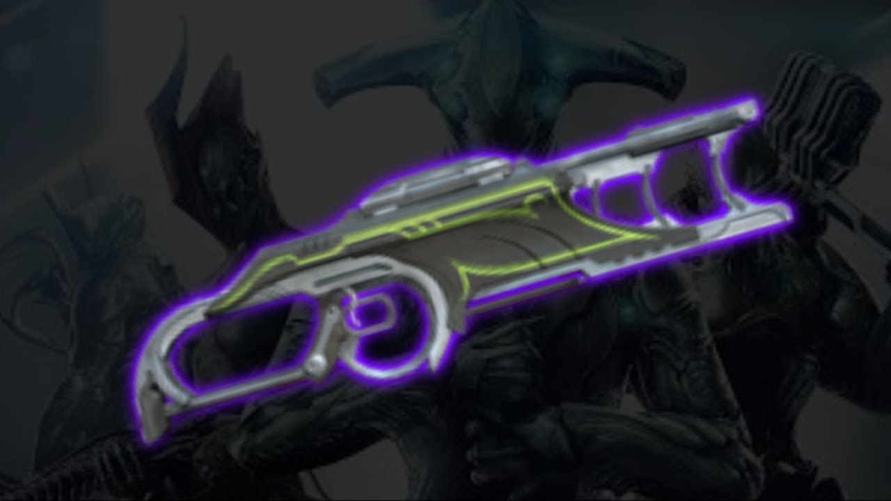 Warframe - Dumb Fun - Panthera
