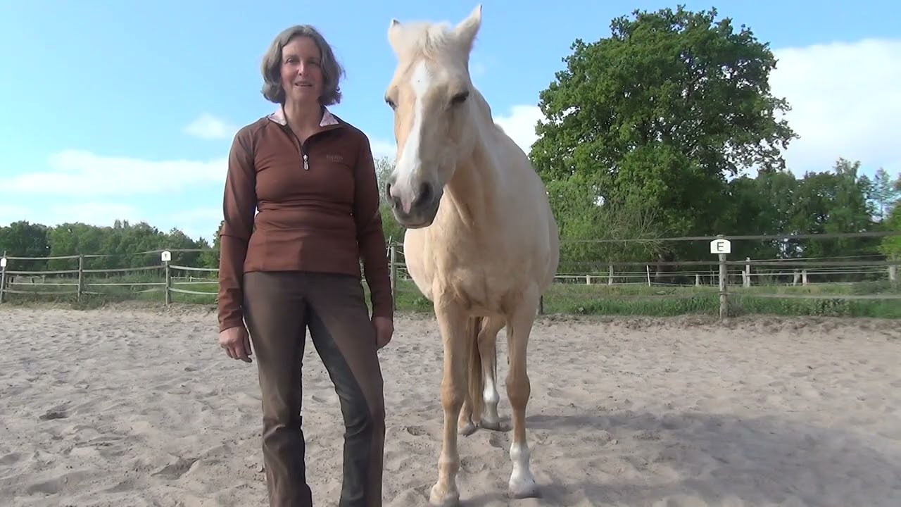 Klassische Reitlehre Bianca Rieskamp: Kommunikation vor Konditionierung im Umgang mit dem Pferd