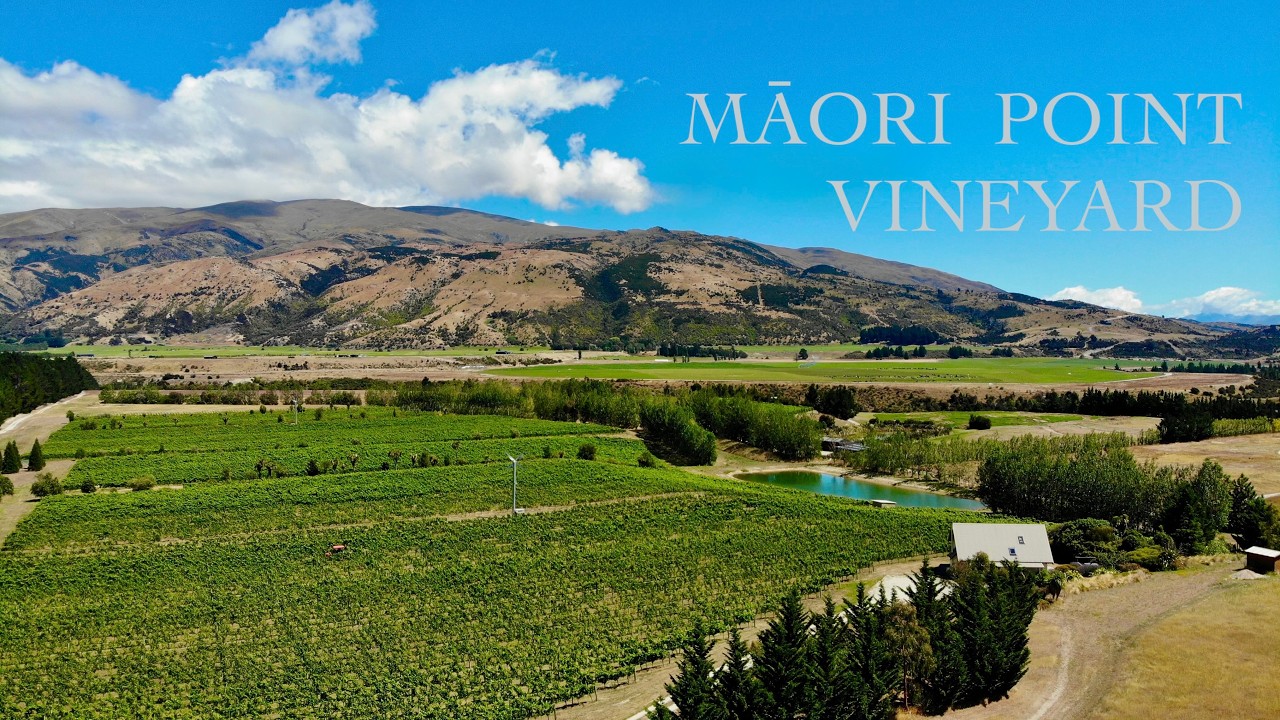 Māori Point Vineyard