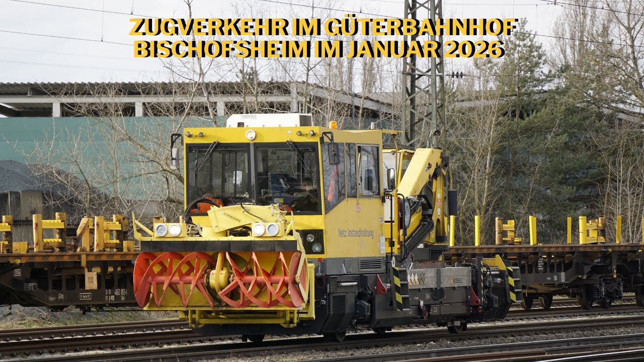 Train traffic at Bischofsheim freight yard in January 2026