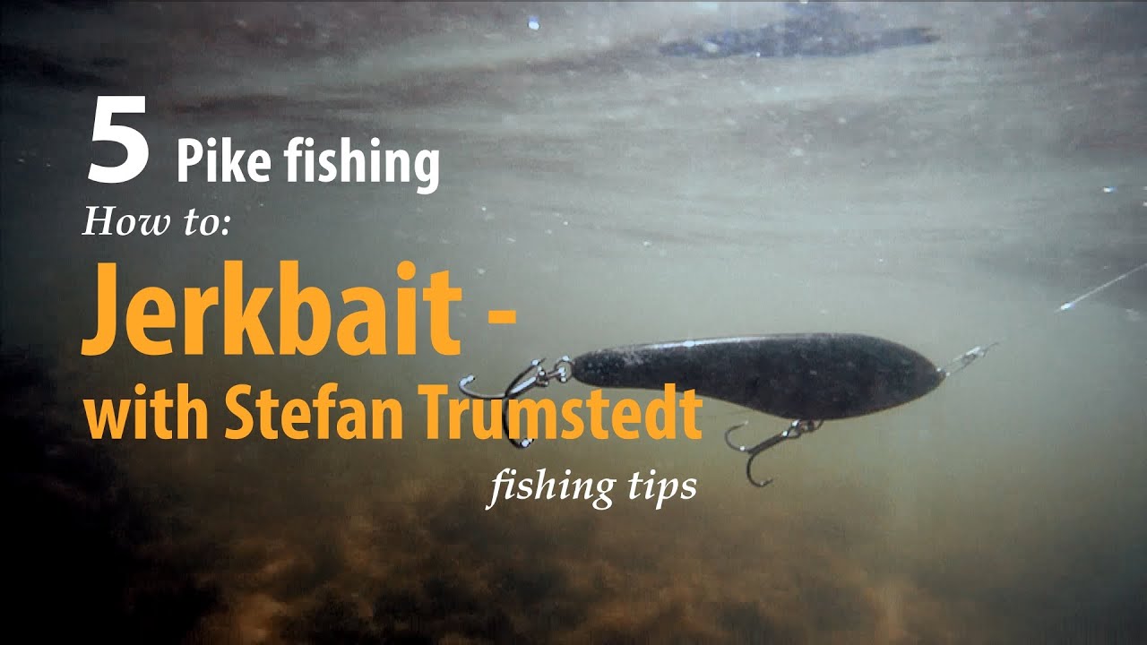 How to • Pike fishing • Jerkbait - with Stefan Trumstedt • fishing tips