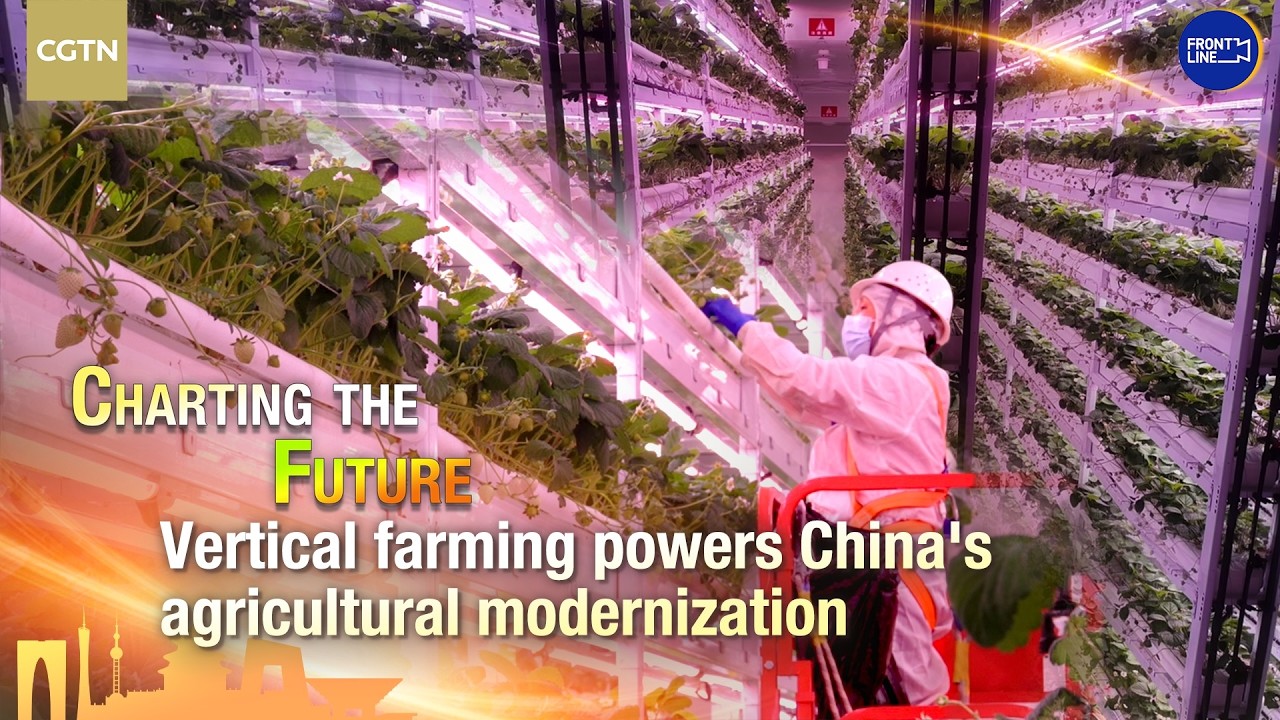 Chengdu's 20-story super plant factory strengthens food security