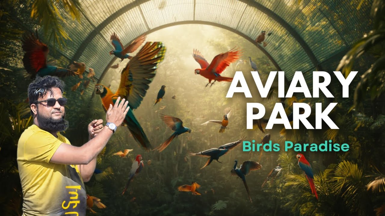 Aviary Park Daman 🦜 | Birds Paradise Full Tour