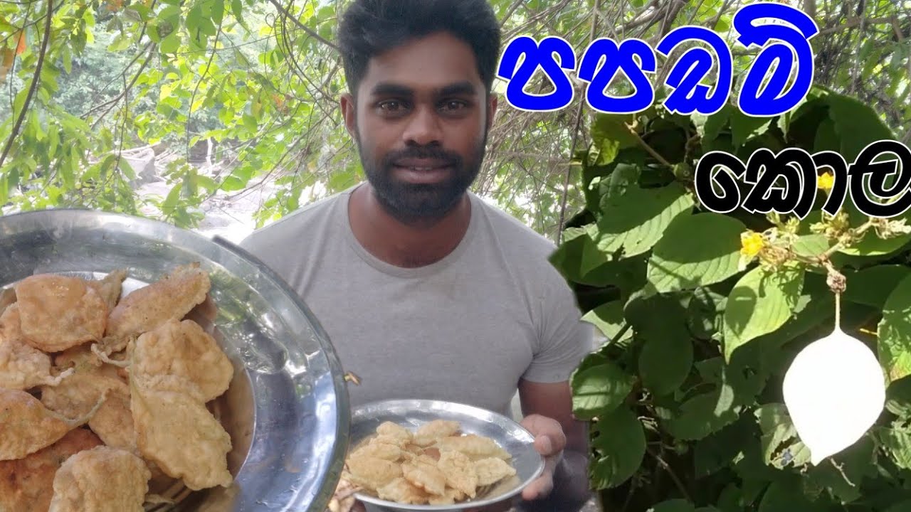 ලී කොල පපඩම්/papadam/papad recipe /2023 cooking SL petta
