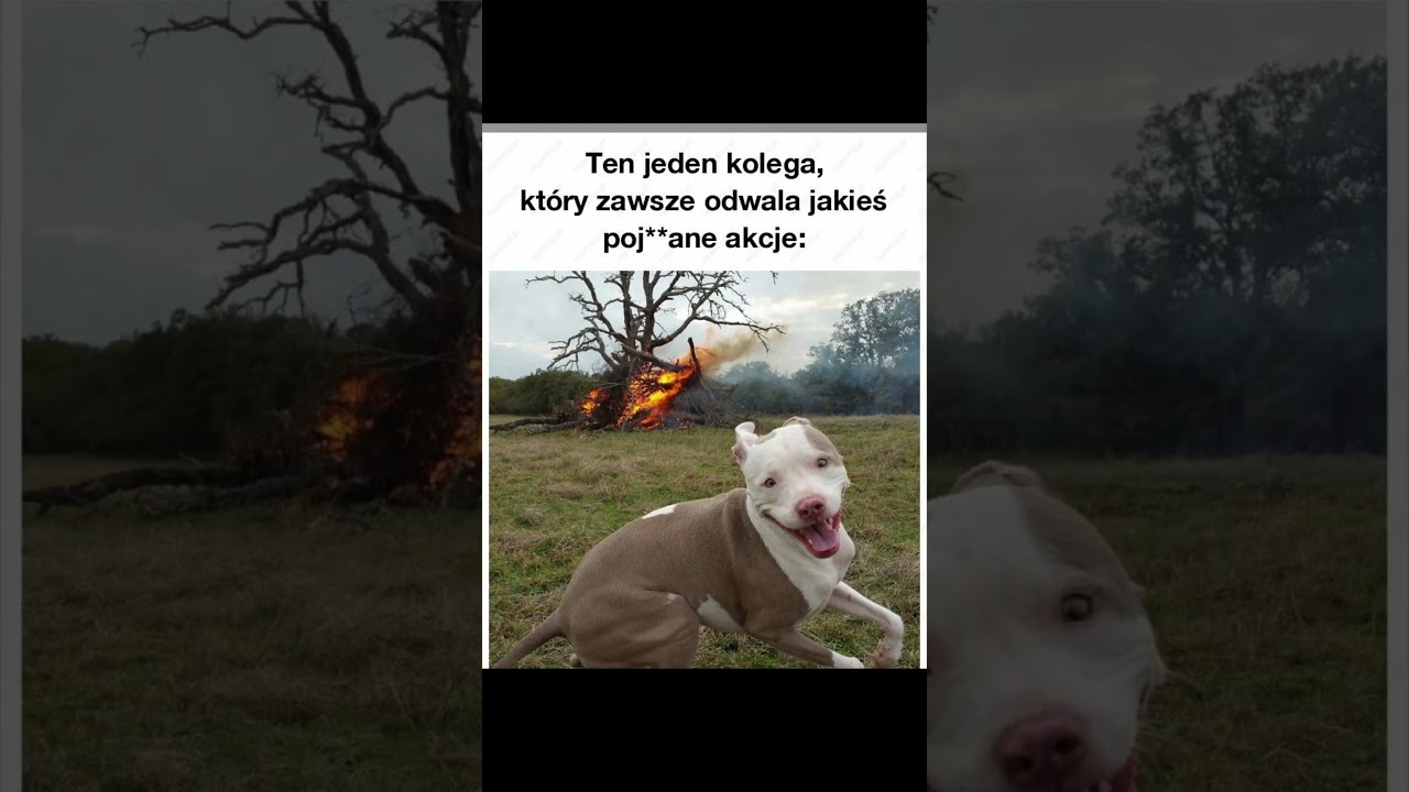Śmieszne Memy #123