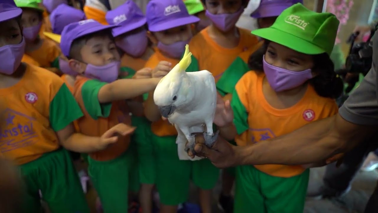 Krista Kids went to Mini Zoo KL Tower! | KRISTA ENSTEK