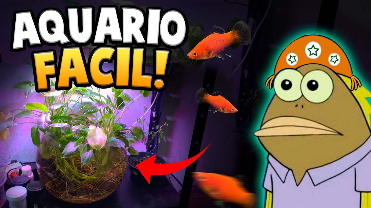 Aquário Fácil pra quem Não tem Tempo
