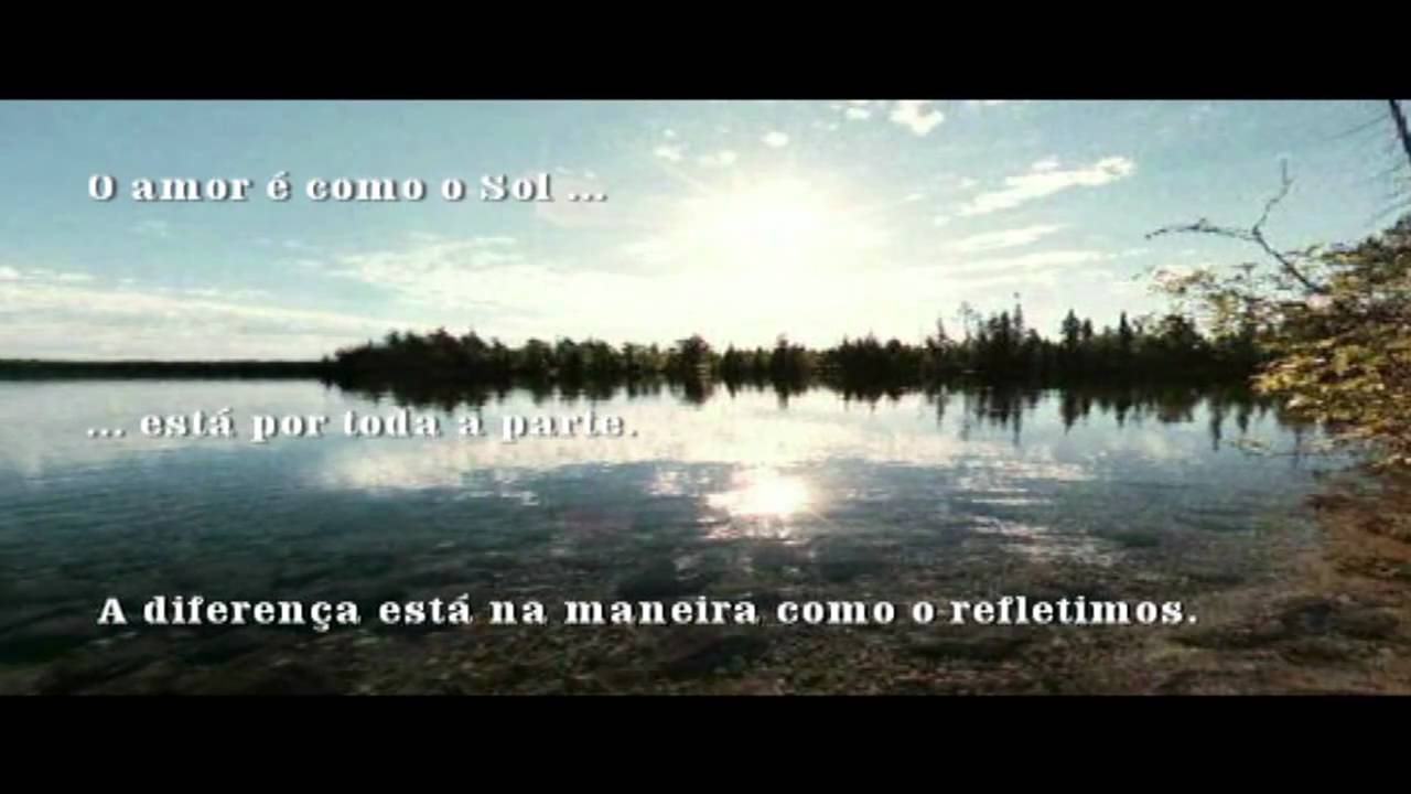 Lei de amor
