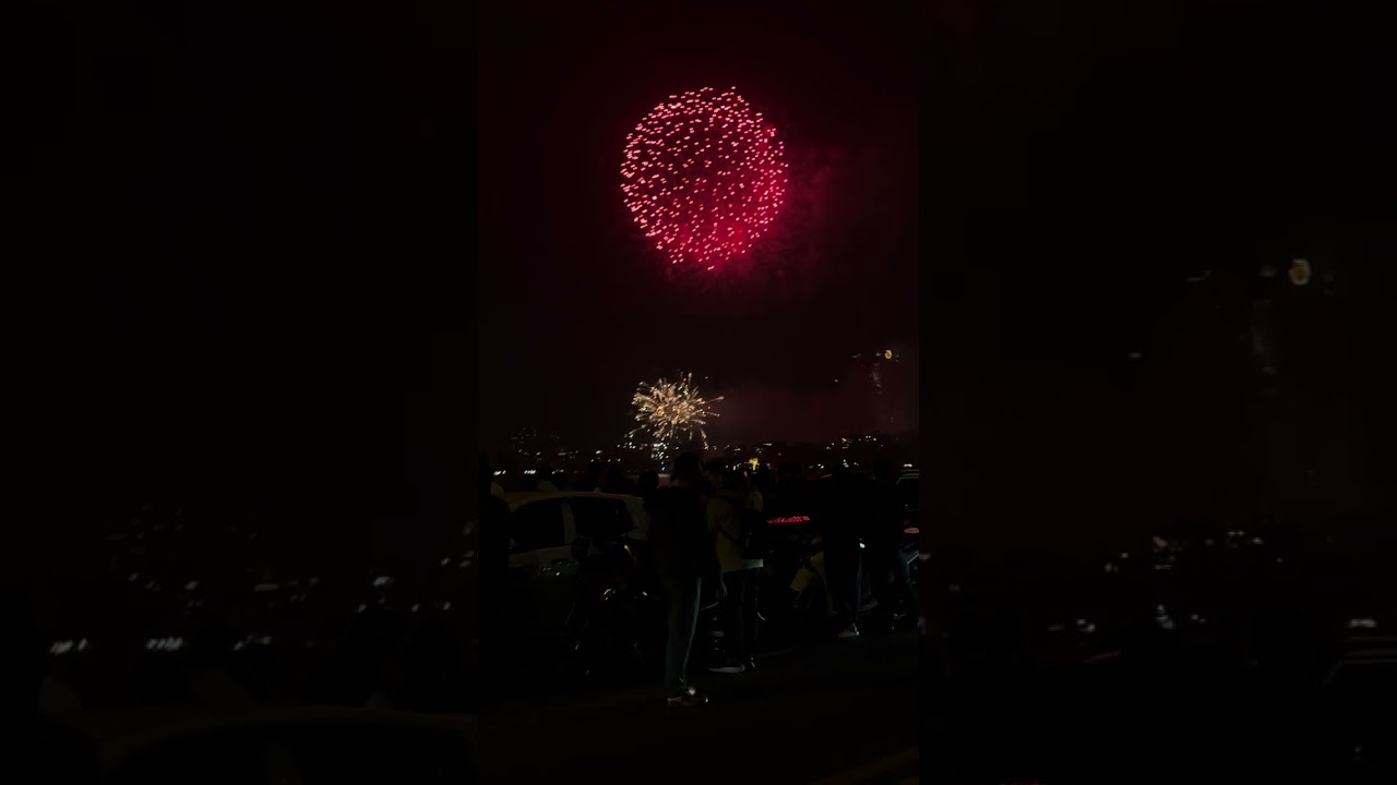 Chào 2026 🌺🌺🌺