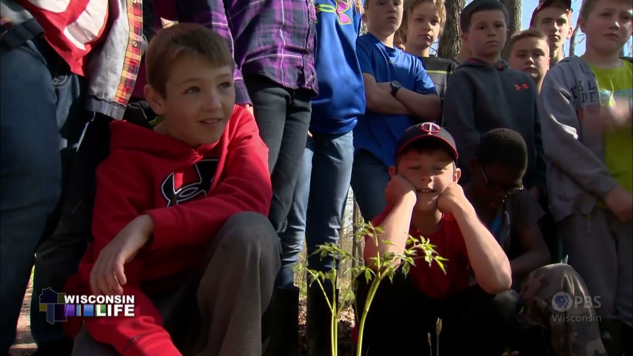 Wisconsin Life | Forager
